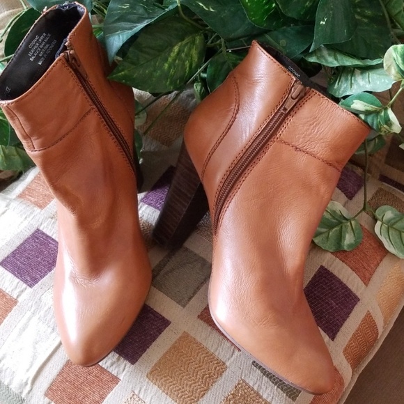 Shoes - Steve Madden Gently worn Cognac Bootie